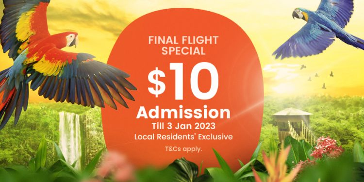 Final Flight Special $10 Admission