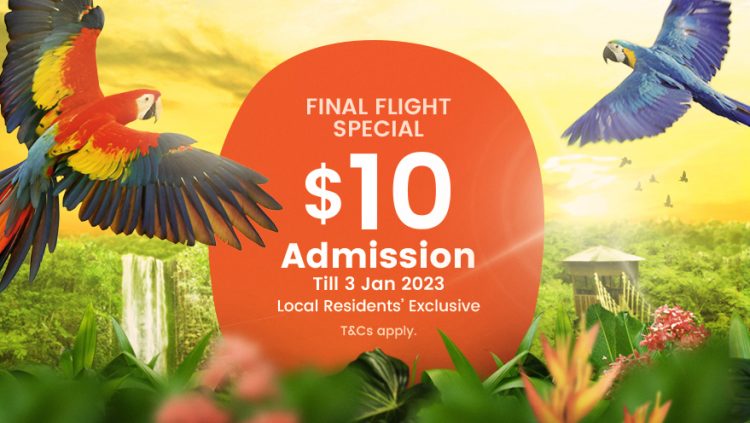 Final Flight Special $10 Admission