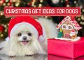Christmas Gift Ideas for Dogs