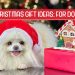 Christmas Gift Ideas for Dogs