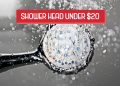 Shower head under $20