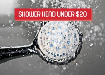 Shower head under $20