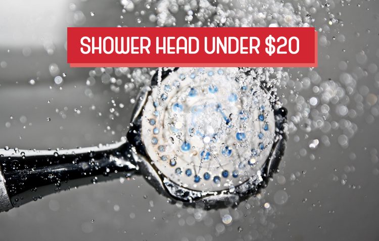 Shower head under $20