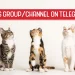 Pets Telegram Group Channel