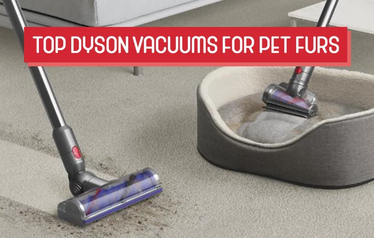 Dyson Vacuums for Pets