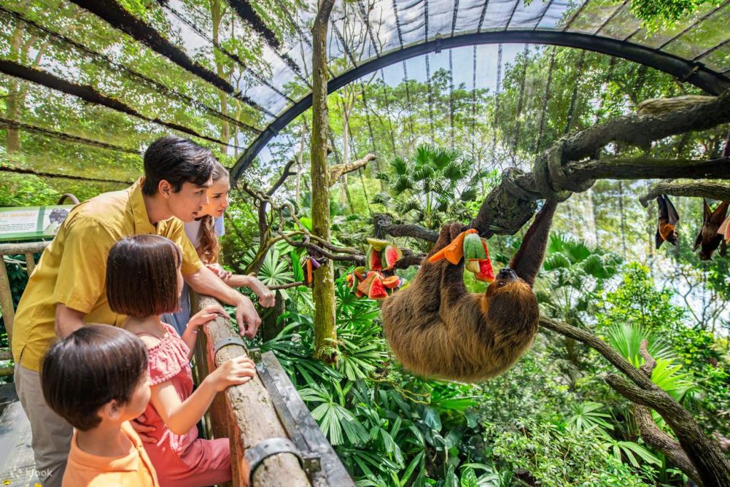 Singapore Zoo Family