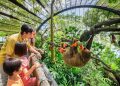 Singapore Zoo Family