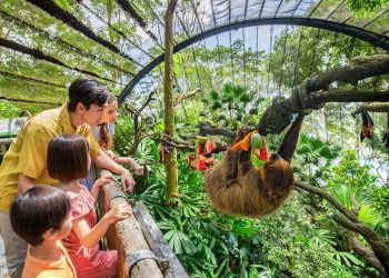 Singapore Zoo Family
