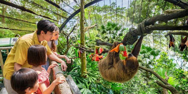 Singapore Zoo Family