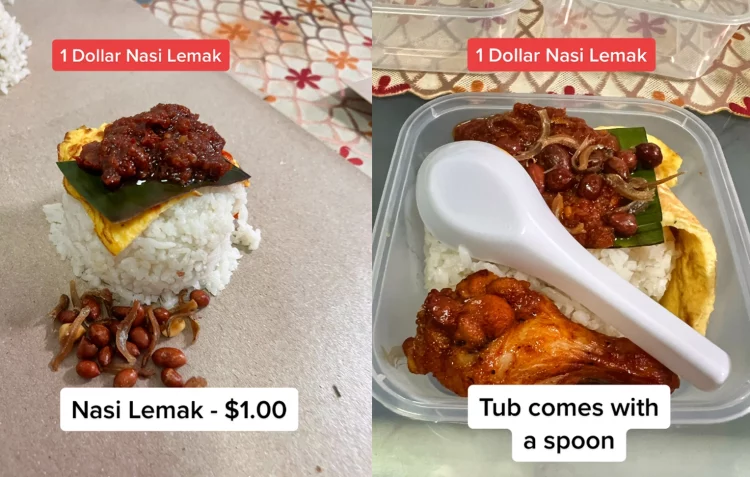 $1 Nasi Lemak Tiktok