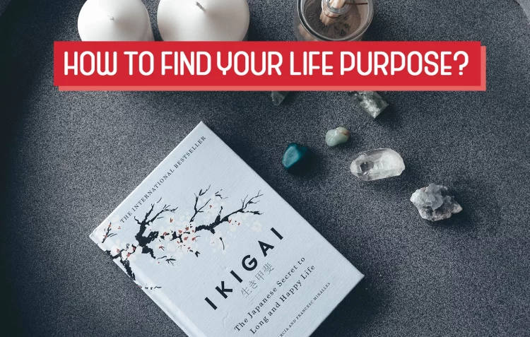 Ikigai book