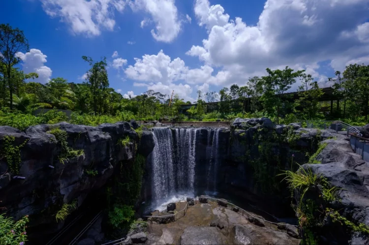 Mandai Singapore Bird Paradise