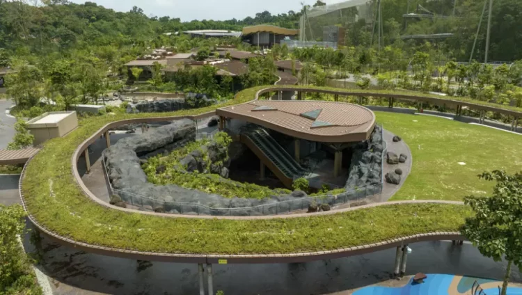 Mandai Singapore Bird Paradise