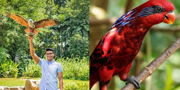 Mandai Singapore Bird Paradise Wildlife Reserve