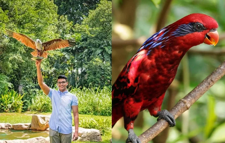 Mandai Singapore Bird Paradise Wildlife Reserve