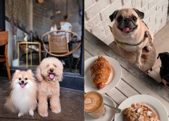 Pets Friendly Cafe in Singapore