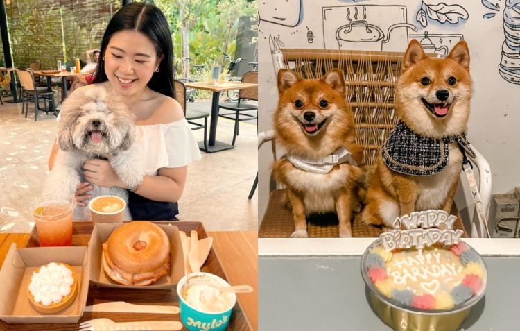Pets Friendly Cafe in Singapore