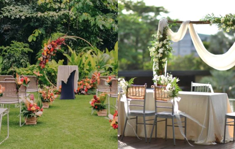 Wheelers Tropikana Vineyard Hortpark