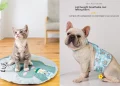Cooling Products for Pets in Singapore