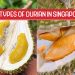 16 Types of Durian Singapore