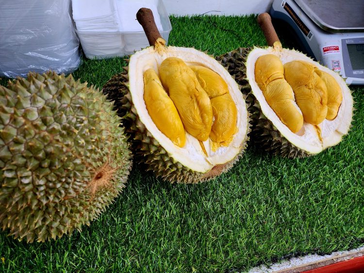 Black Thorn Durian Singapore