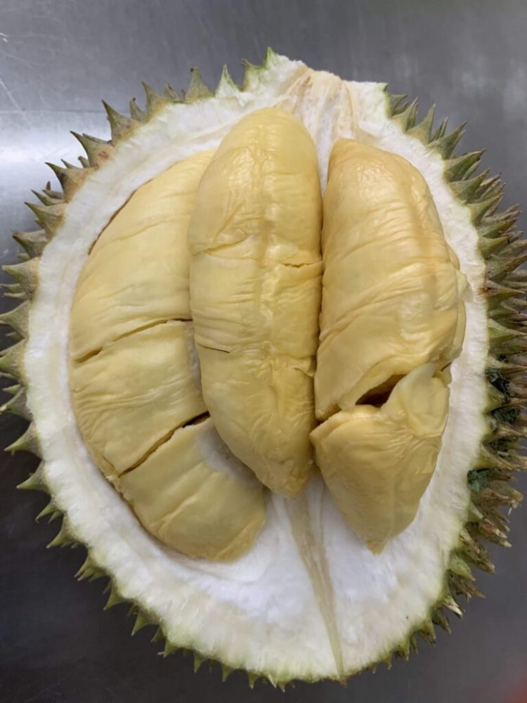 D1 durian Singapore