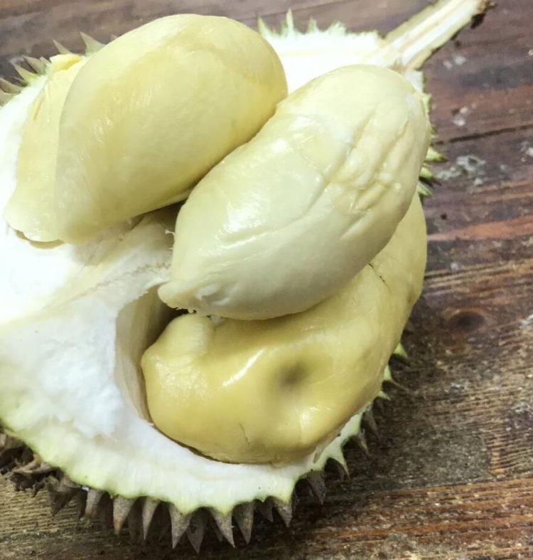 D24 Durian Singapore
