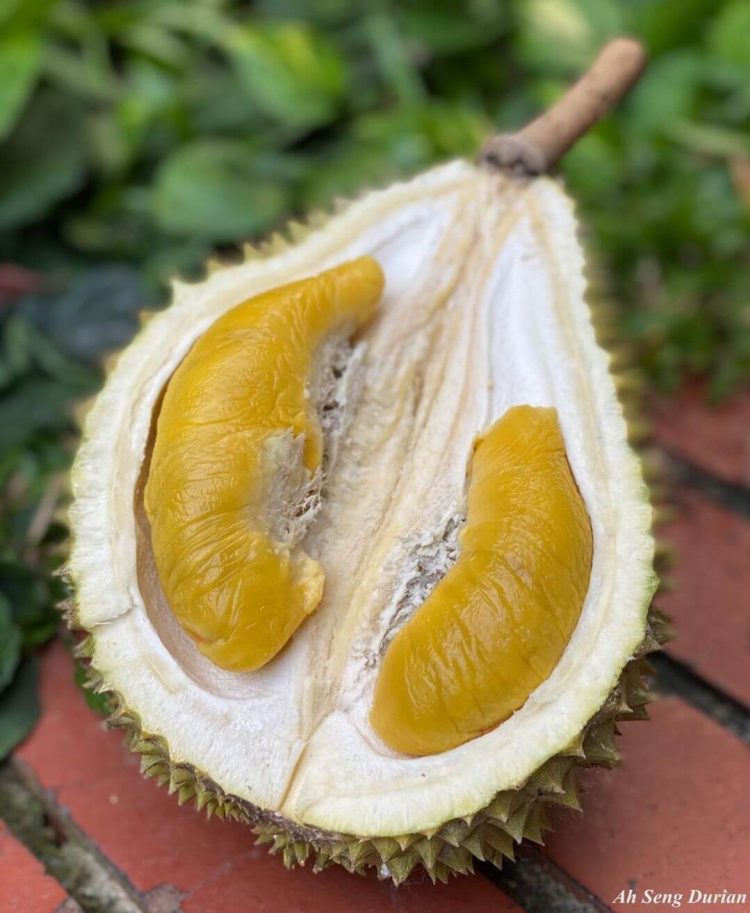 Mao Shan Wang Durian Ah Seng Durian