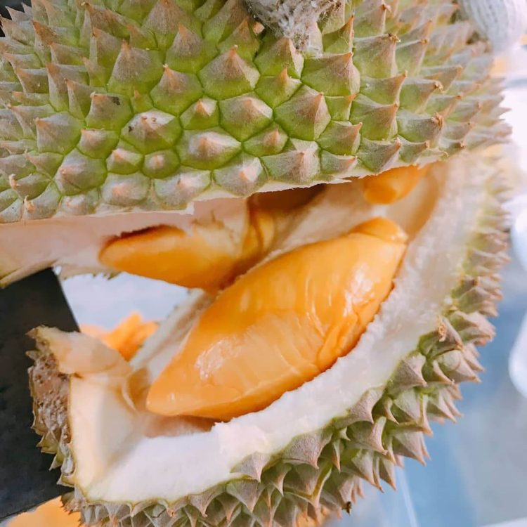 Red Prawn Durian Singapore