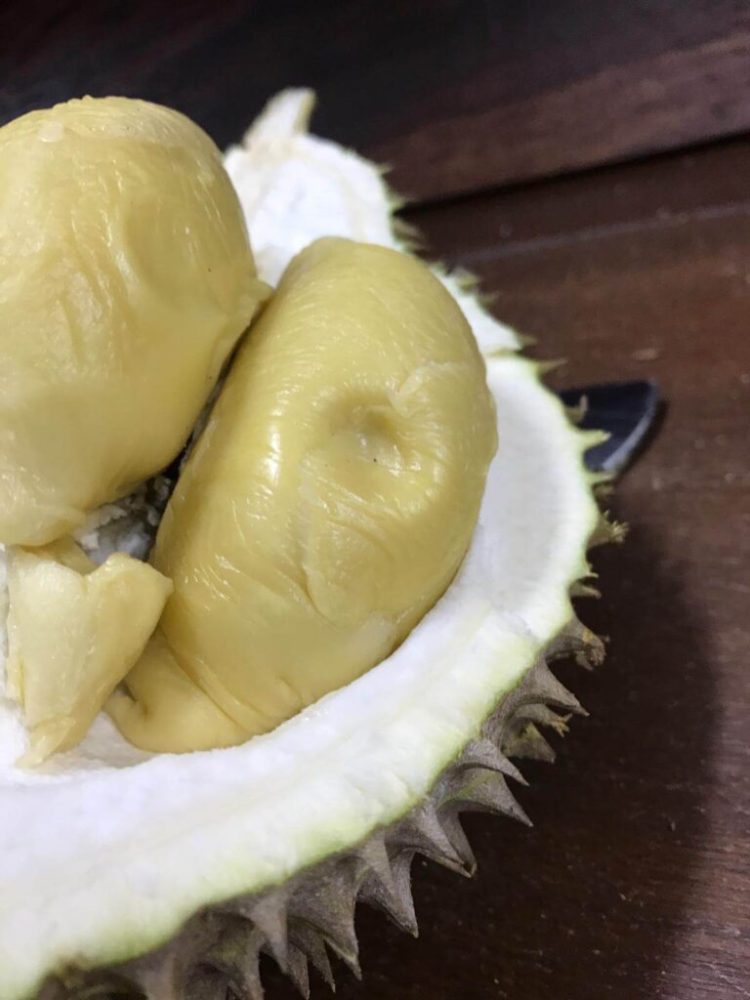 XO Durian Singapore