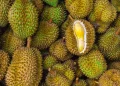 Durian Singapore