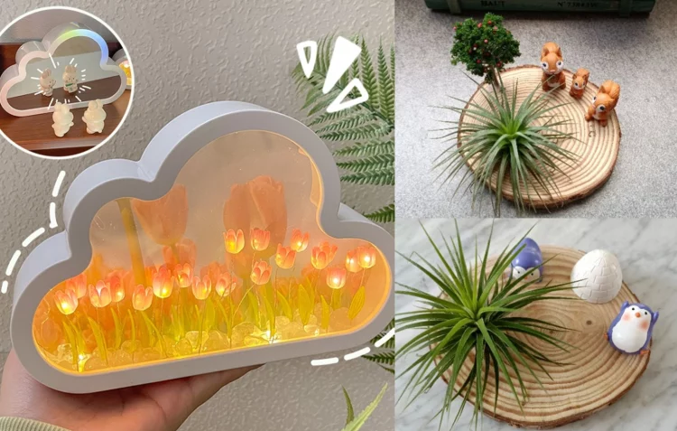 Gift Ideas for Your Plant Lovers Friends 2