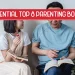 Top 8 Parenting Book
