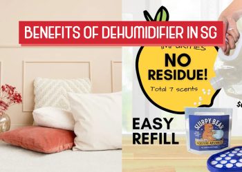 Benefits of Dehumidifier