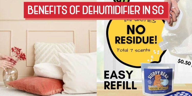 Benefits of Dehumidifier