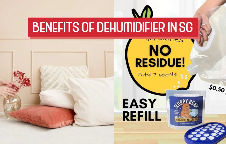 Benefits of Dehumidifier