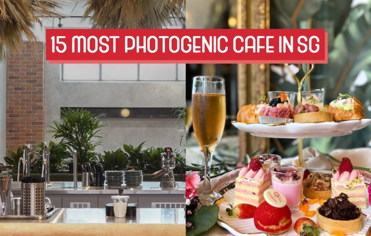 Sg 15 Most Photogenic Cafés 2024