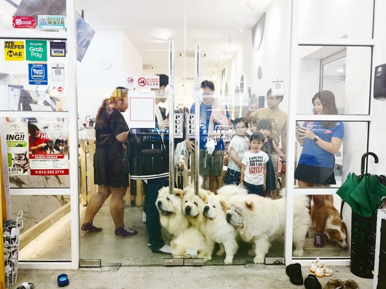 Chow Q Cafe Johor Bahru