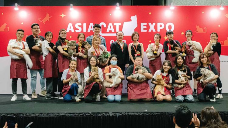 asia cat expo 2024