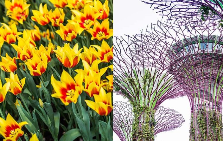 Places to go Singapore