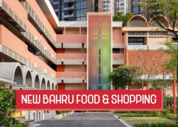 New Bahru Food and Shopping