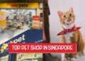 Top Pet Shops in Singapore
