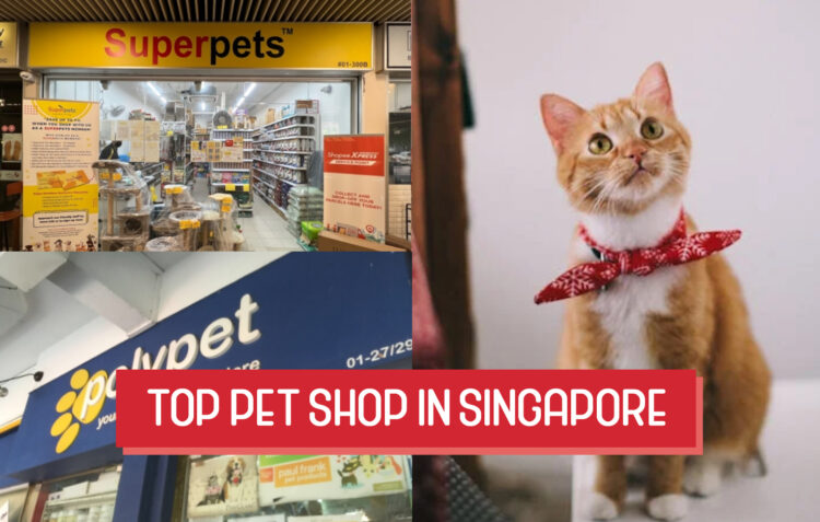 Top Pet Shops in Singapore