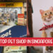 Top Pet Shops in Singapore