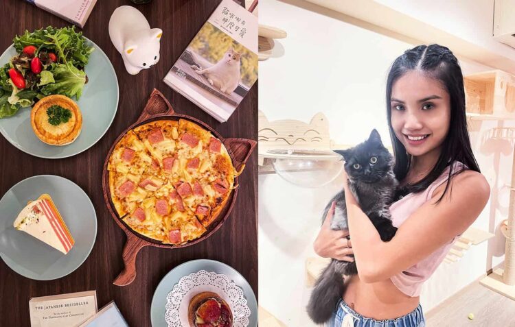 Cuddle Adorable Munchkin Kitties at QQ Cats and Cafe at Balestier in Singapore