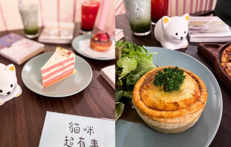 Cuddle Adorable Munchkin Kitties at QQ Cats and Cafe at Balestier in Singapore