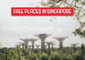 Exploring Singapore for Free: 30 Activities You’ll Love Without Spending a Cent