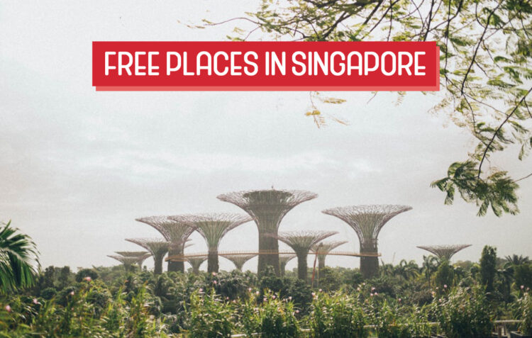Exploring Singapore for Free: 30 Activities You’ll Love Without Spending a Cent