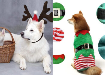 Dog christmas costume fashion