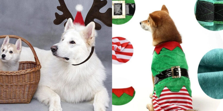Dog christmas costume fashion